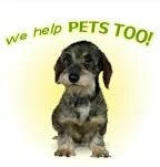 Pet Prescription Drugs