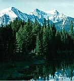 About Canada Online Pharmacy