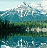 About Canadian Prescriptions Drugs